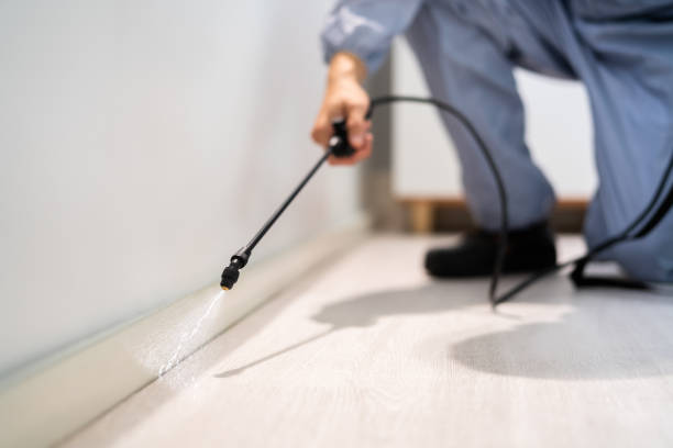 Licensed Pest Control service in Colonial Pine Hills, SD - Show Me Pest Control